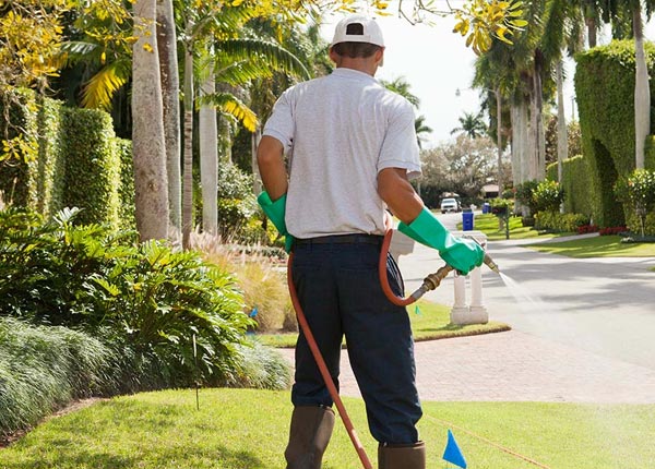 About Williston FL Pest Control